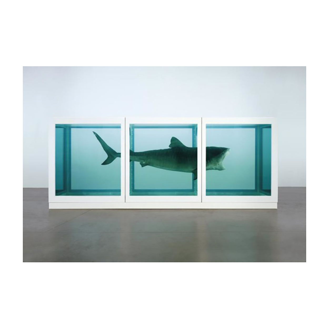 DAMIEN HIRST x SUPREME 'Shark' (2025) Skateboard Deck