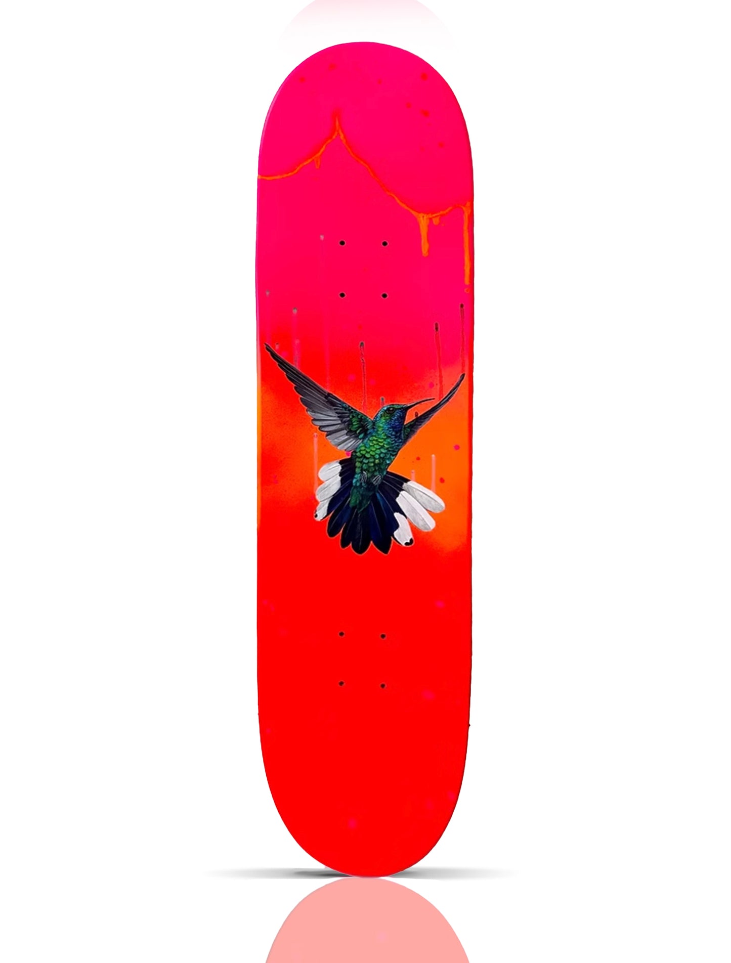 LOUISE McNAUGHT 'White Tailed Sabrewing Hummingbird' (2025) Original on Skateboard Deck