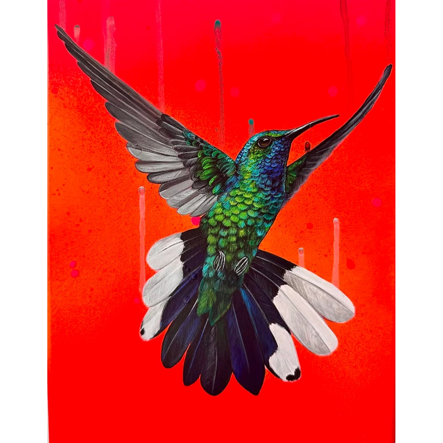 LOUISE McNAUGHT 'White Tailed Sabrewing Hummingbird' (2025) Original on Skateboard Deck