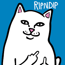 Rip N Dip