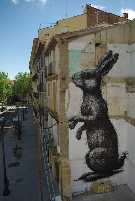 Roa