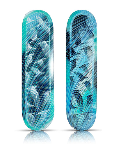 KAI + SUNNY x Element 'Migration Day' + 'Migration Night' (2024) Skateboard Deck Set