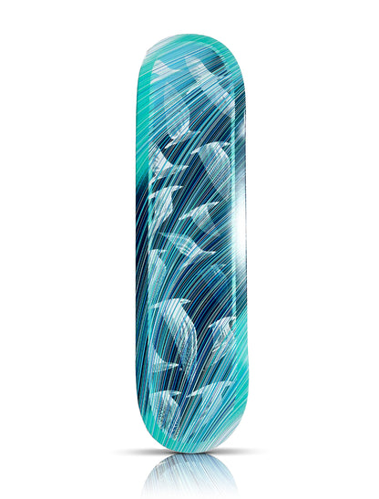 KAI + SUNNY x Element 'Migration Day' + 'Migration Night' (2024) Skateboard Deck Set