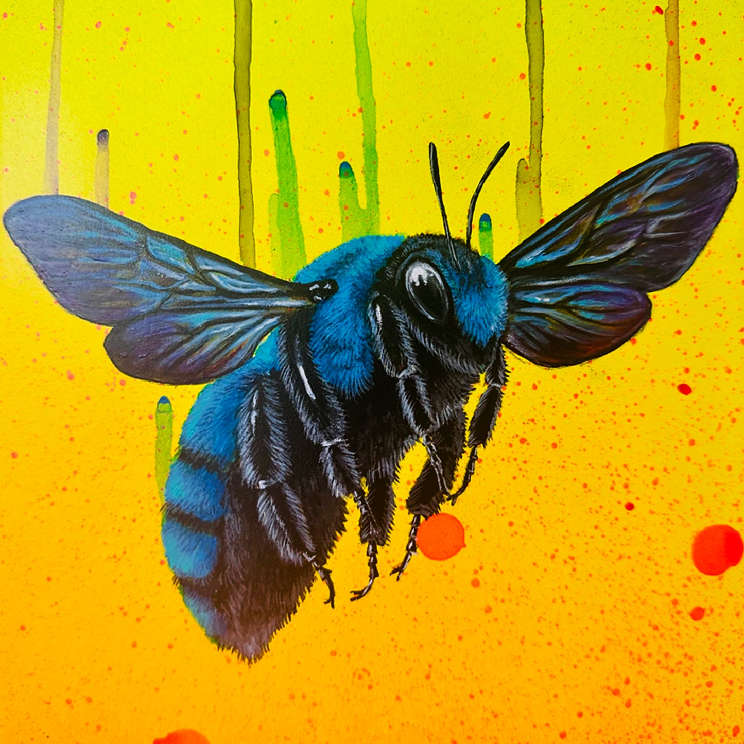 LOUISE McNAUGHT 'Asian Blue Carpenter Bee' (2025) Original on Skateboard Deck