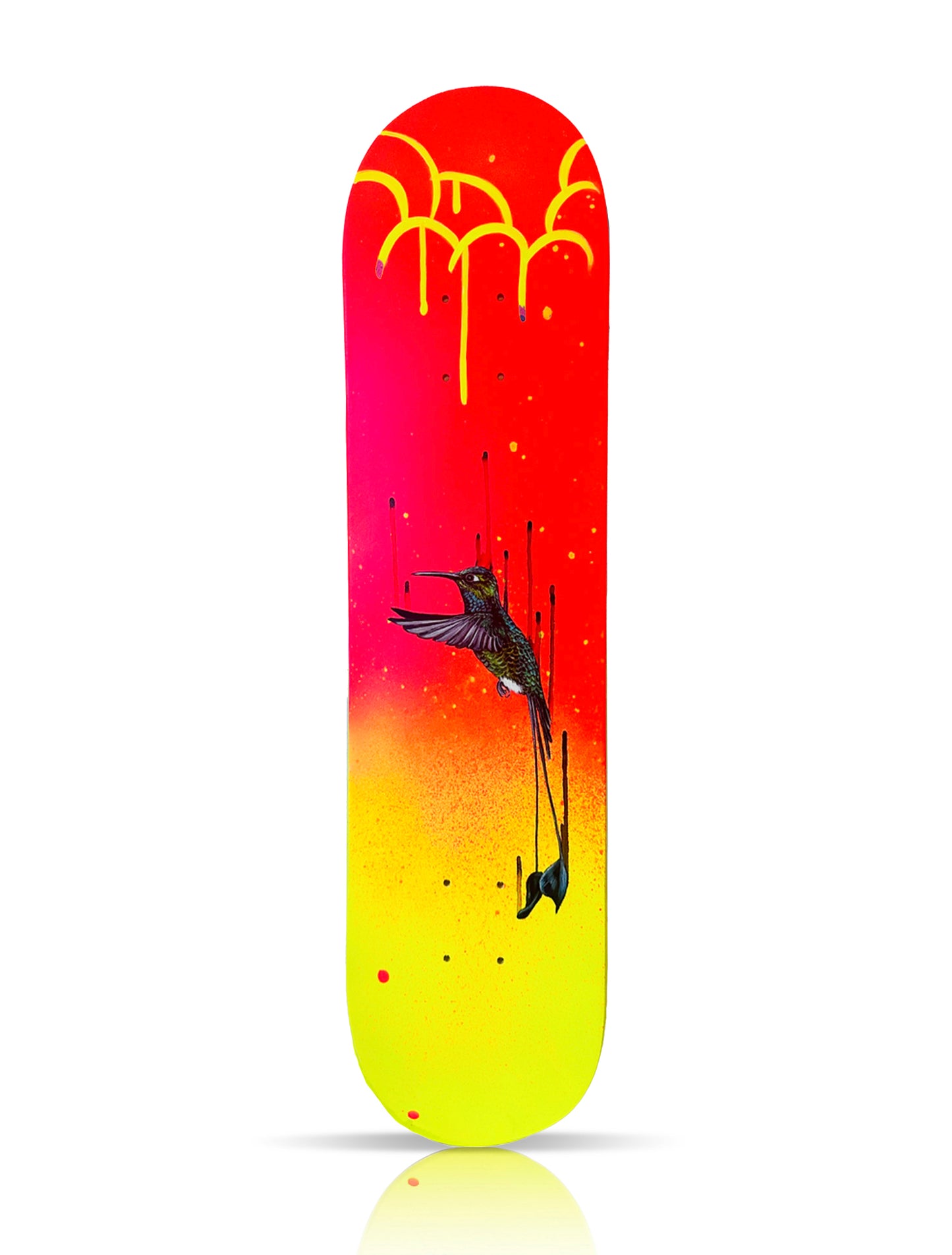 LOUISE McNAUGHT 'Booted Racket Tail Hummingbird' (2025) Original on Skateboard Deck