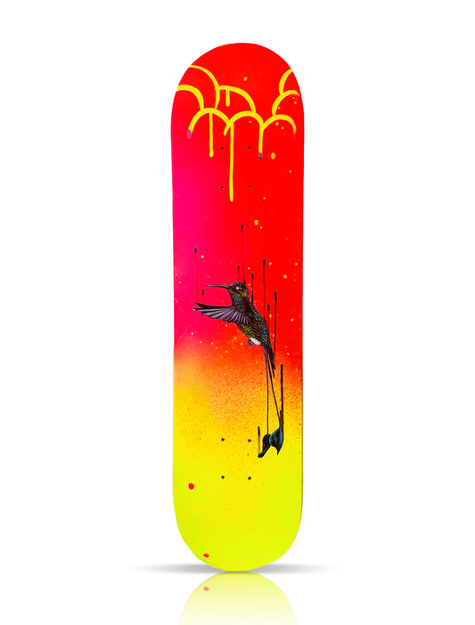 LOUISE McNAUGHT 'Booted Racket Tail Hummingbird' (2025) Original on Skateboard Deck