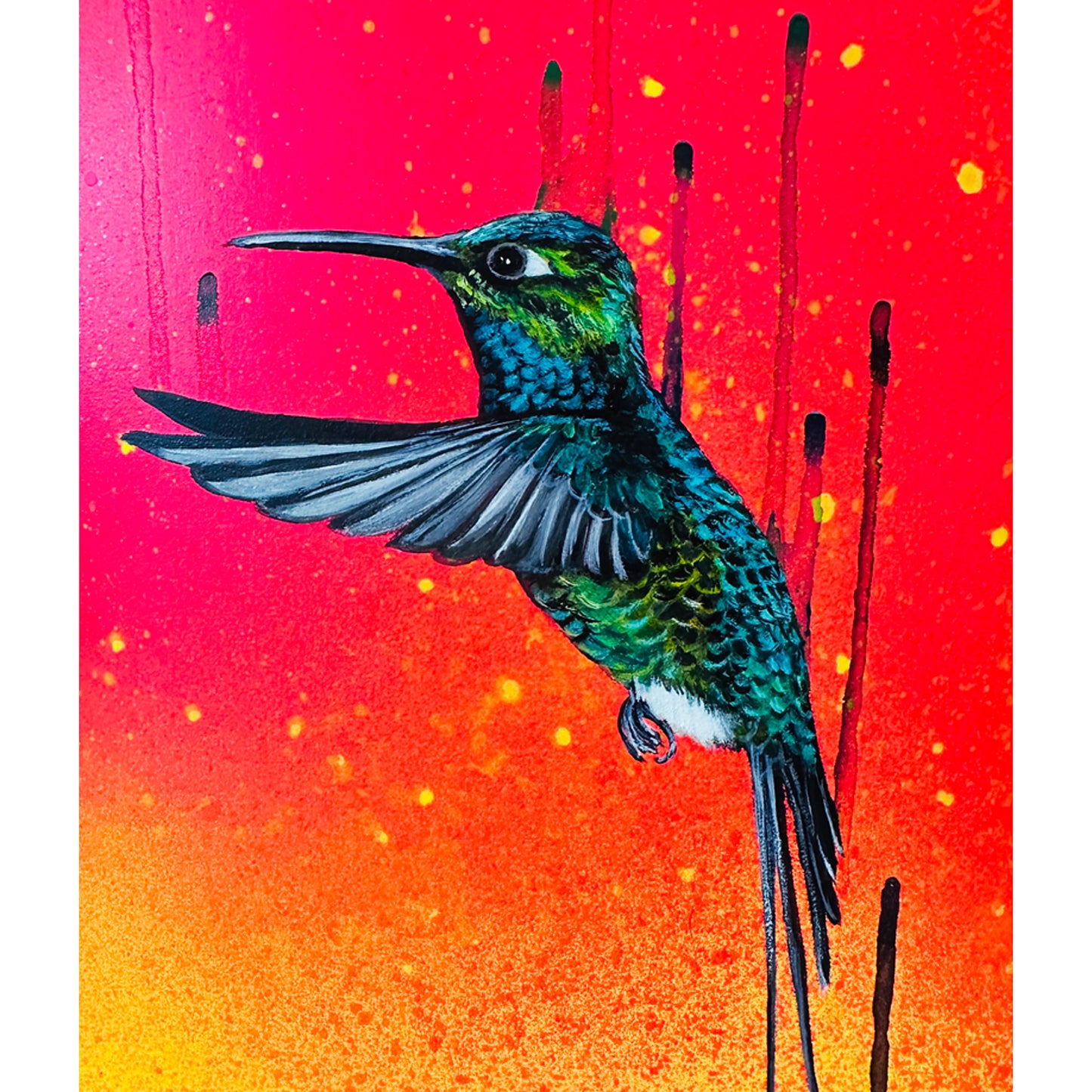 LOUISE McNAUGHT 'Booted Racket Tail Hummingbird' (2025) Original on Skateboard Deck