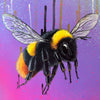 LOUISE McNAUGHT 'Red Tailed Bumblebee' (2025) Original on Skateboard Deck