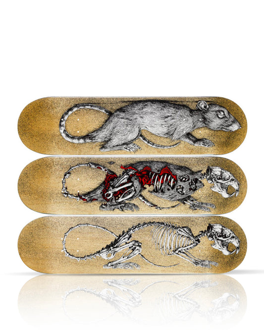 ROA x The Skateroom 'Decay' (2012) RARE Triptych Skateboard Deck Set