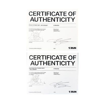 STINKFISH x 1xRUN 'Prickly...' + 'Anatomy...' (2025) Diptych Skateboard Deck Set