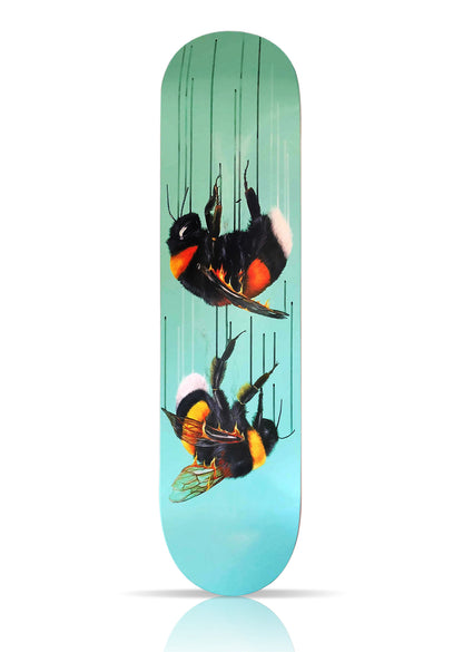 LOUISE McNAUGHT 'Fire and Alchemy' + 'Honey Bee' Framed Skate Deck Collage