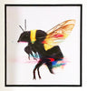 LOUISE McNAUGHT 'Fire and Alchemy' + 'Honey Bee' Framed Skate Deck Collage