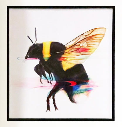 LOUISE McNAUGHT 'Fire and Alchemy' + 'Honey Bee' Framed Skate Deck Collage