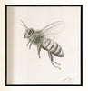 LOUISE McNAUGHT 'Fire and Alchemy' + 'Honey Bee' Framed Skate Deck Collage