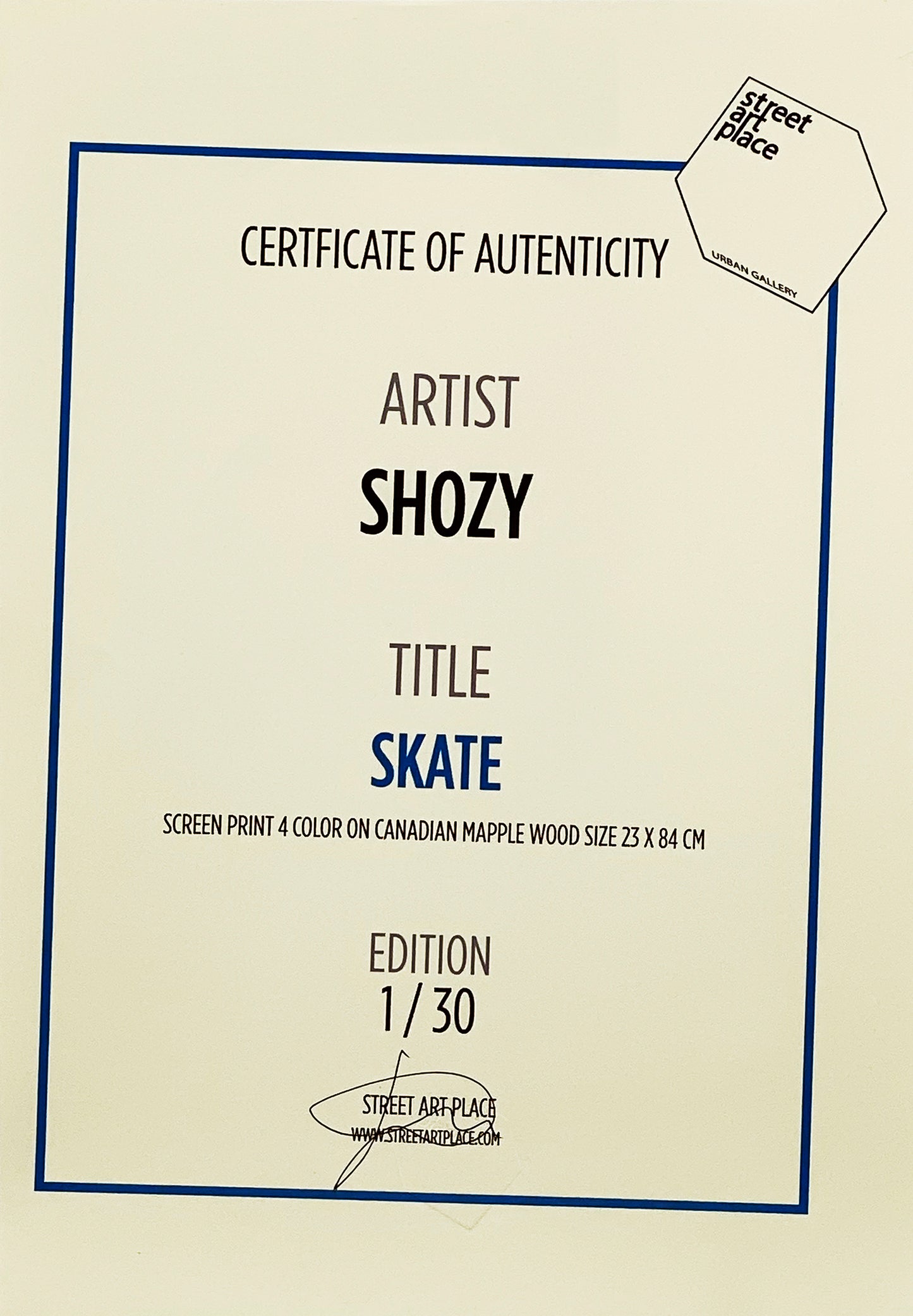 SHOZY x Street Art Place 'Skate' (2019) Skateboard Deck